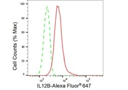 Invitrogen IL-12 p40 Recombinant Rabbit Monoclonal Antibody (23GB5970),