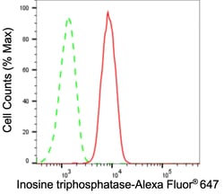 Invitrogen ITPA Recombinant Rabbit Monoclonal Antibody (23GB5975), Invitrogen