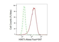 Invitrogen HINT1 Recombinant Rabbit Monoclonal Antibody (23GB5985), Invitrogen
