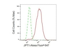 Invitrogen HN1 Recombinant Rabbit Monoclonal Antibody (23GB6065), Invitrogen