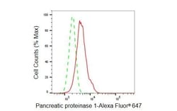Invitrogen eIF3b Recombinant Rabbit Monoclonal Antibody (23GB6260), Invitrogen