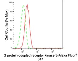 Invitrogen GRK3 Recombinant Rabbit Monoclonal Antibody (23GB6300), Invitrogen