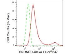 Invitrogen hnRNP U Recombinant Rabbit Monoclonal Antibody (23GB6350), Invitrogen