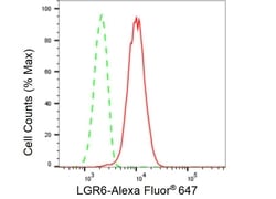 Invitrogen LGR6 Recombinant Rabbit Monoclonal Antibody (23GB6400) 20 &mu;L | Buy Online | Invitrogen&trade; | Fisher Scientific