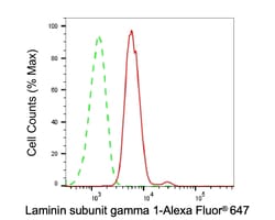 Invitrogen Laminin gamma-1 Recombinant Rabbit Monoclonal Antibody (23GB6415) 20 &mu;L | Buy Online | Invitrogen&trade; | Fisher Scientific