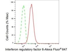 Invitrogen IRF6 Recombinant Rabbit Monoclonal Antibody (23GB6550), Invitrogen