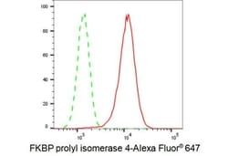 Invitrogen FKBP4 Recombinant Rabbit Monoclonal Antibody (23GB1915) 20 &mu;L | Buy Online | Invitrogen&trade; | Fisher Scientific