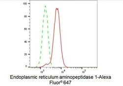 Invitrogen ARTS1 Recombinant Rabbit Monoclonal Antibody (23GB1650), Invitrogen