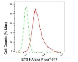 Invitrogen ETS1 Recombinant Rabbit Monoclonal Antibody (23GB1160), Invitrogen