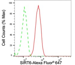 Invitrogen SIRT6 Recombinant Rabbit Monoclonal Antibody (23GB1135), Invitrogen