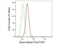 Invitrogen DAXX Recombinant Rabbit Monoclonal Antibody (23GB1090), Invitrogen