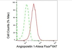 Invitrogen Angiopoietin 1 Recombinant Rabbit Monoclonal Antibody (23GB1775),