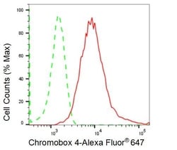Invitrogen CBX4 Recombinant Rabbit Monoclonal Antibody (23GB1905) 20 &mu;L | Buy Online | Invitrogen&trade; | Fisher Scientific