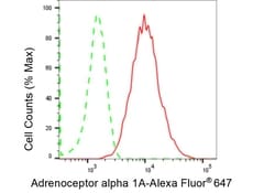 Invitrogen alpha-1a Adrenergic Receptor Recombinant Rabbit Monoclonal Antibody