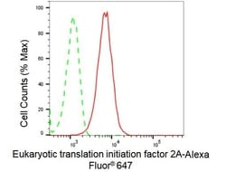 Invitrogen EIF2A Recombinant Rabbit Monoclonal Antibody (23GB1455), Invitrogen