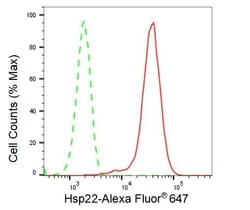 Invitrogen HSPB8 Recombinant Rabbit Monoclonal Antibody (23GB1980) 20 &mu;L | Buy Online | Invitrogen&trade; | Fisher Scientific