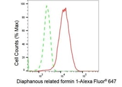 Invitrogen DIAPH1 Recombinant Rabbit Monoclonal Antibody (23GB1990), Invitrogen