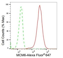 Invitrogen MCM6 Recombinant Rabbit Monoclonal Antibody (23GB2005), Invitrogen