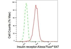 Invitrogen INSR Recombinant Rabbit Monoclonal Antibody (23GB2050), Invitrogen
