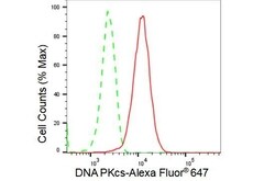 Invitrogen DNA-PK Recombinant Rabbit Monoclonal Antibody (23GB2055), Invitrogen