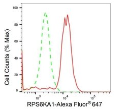 Invitrogen RSK1 Recombinant Rabbit Monoclonal Antibody (23GB2080), Invitrogen
