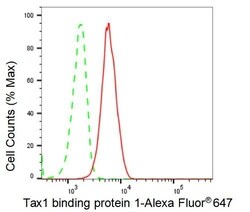 Invitrogen TAX1BP1 Recombinant Rabbit Monoclonal Antibody (23GB2100), Invitrogen