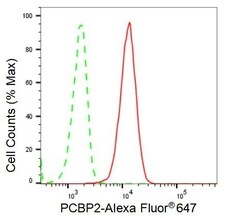 Invitrogen PCBP2 Recombinant Rabbit Monoclonal Antibody (23GB2110), Invitrogen