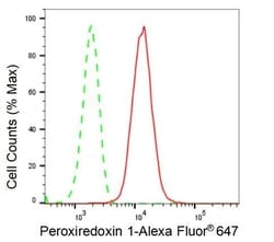 Invitrogen PRDX1 Recombinant Rabbit Monoclonal Antibody (23GB2120), Invitrogen