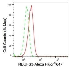 Invitrogen NDUFS3 Recombinant Rabbit Monoclonal Antibody (23GB2145), Invitrogen