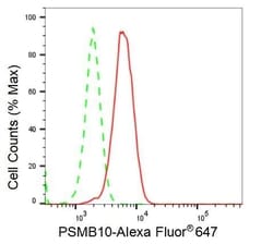 Invitrogen PSMB10 Recombinant Rabbit Monoclonal Antibody (23GB2165), Invitrogen