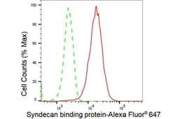 Invitrogen Syntenin 1 Recombinant Rabbit Monoclonal Antibody (23GB2185), Invitrogen 20 &mu;L | Buy Online | Invitrogen&trade; | Fisher Scientific
