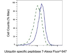 Invitrogen USP7 Recombinant Rabbit Monoclonal Antibody (23GB2250), Invitrogen