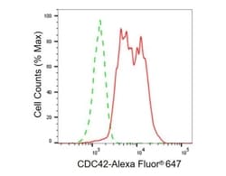 Invitrogen Cdc42 Recombinant Rabbit Monoclonal Antibody (23GB740), Invitrogen