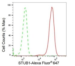 Invitrogen STUB1 Recombinant Rabbit Monoclonal Antibody (23GB2345), Invitrogen