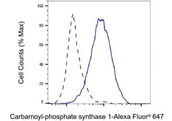 Invitrogen CPS1 Recombinant Rabbit Monoclonal Antibody (23GB2365), Invitrogen