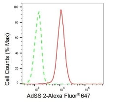 Invitrogen ADSS Recombinant Rabbit Monoclonal Antibody (23GB630), Invitrogen