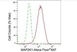 Invitrogen MEK1 Recombinant Rabbit Monoclonal Antibody (23GB2940), Invitrogen