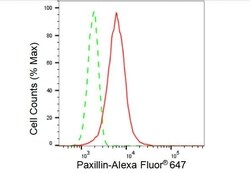 Invitrogen Paxillin Recombinant Rabbit Monoclonal Antibody (23GB2690),