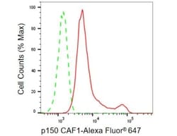 Invitrogen CAF1 p150 Recombinant Rabbit Monoclonal Antibody (23GB1060),
