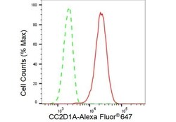 Invitrogen CC2D1A Recombinant Rabbit Monoclonal Antibody (23GB3045), Invitrogen
