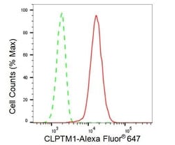 Invitrogen CLPTM1 Recombinant Rabbit Monoclonal Antibody (23GB3090), Invitrogen