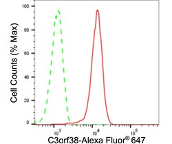 Invitrogen C3orf38 Recombinant Rabbit Monoclonal Antibody (23GB1150):Antibodies:Primary