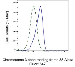 Invitrogen C3orf38 Recombinant Rabbit Monoclonal Antibody (23GB1150):Antibodies:Primary