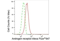 Invitrogen Androgen Receptor Recombinant Rabbit Monoclonal Antibody (23GB3210),