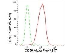 Invitrogen CD99 Recombinant Rabbit Monoclonal Antibody (23GB3395):Antibodies:Primary