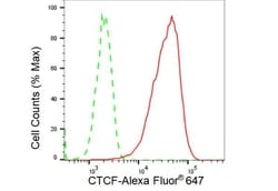 Invitrogen CTCF Recombinant Rabbit Monoclonal Antibody (23GB3520), Invitrogen