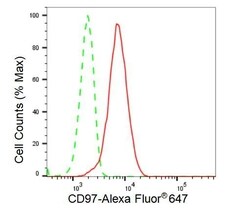 Invitrogen CD97 Recombinant Rabbit Monoclonal Antibody (23GB3390) 20 &mu;L | Buy Online | Invitrogen&trade; | Fisher Scientific