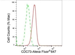 Invitrogen Cdc73 Recombinant Rabbit Monoclonal Antibody (23GB3450), Invitrogen
