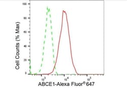 Invitrogen ABCE1 Recombinant Rabbit Monoclonal Antibody (23GB3605) 20 &mu;L | Buy Online | Invitrogen&trade; | Fisher Scientific