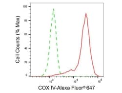Invitrogen COX4 Recombinant Rabbit Monoclonal Antibody (23GB770), Invitrogen